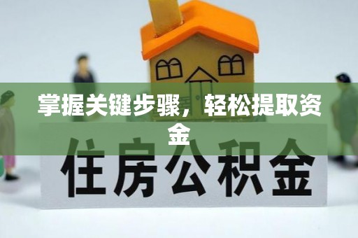河间掌握关键步骤，轻松提取资金