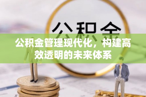 河间公积金管理现代化，构建高效透明的未来体系