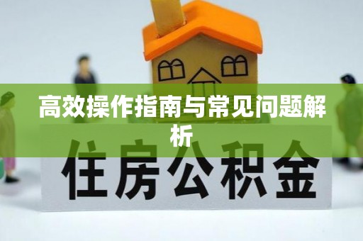 河间高效操作指南与常见问题解析