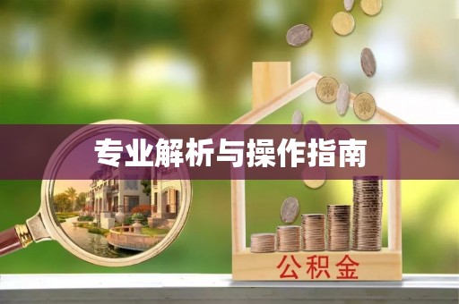 河间专业解析与操作指南