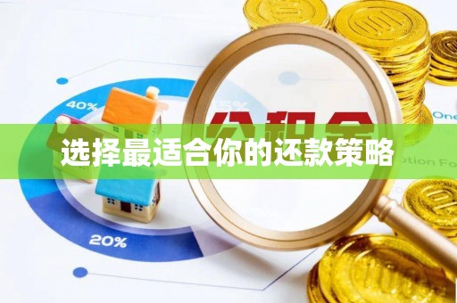 河间选择最适合你的还款策略